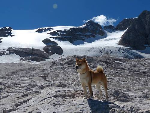 得分高潮是否常常伴随节奏加速阶段，高潮分为几个等级